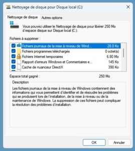 Nettoyeur de Disque Windows : Guide Complet / options de nettoyage